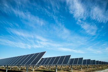 Solar panel farm representing the environmental impacts of solar energy.